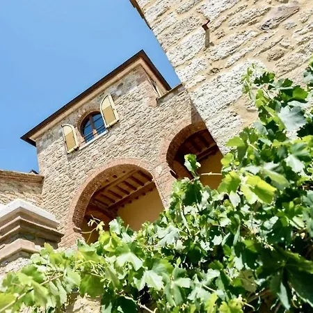 The Nest Il Giglio * ラポラーノ・テルメ