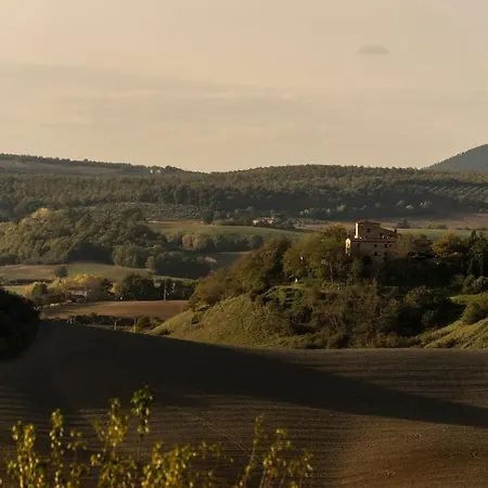 アパート The Nest Il Giglio